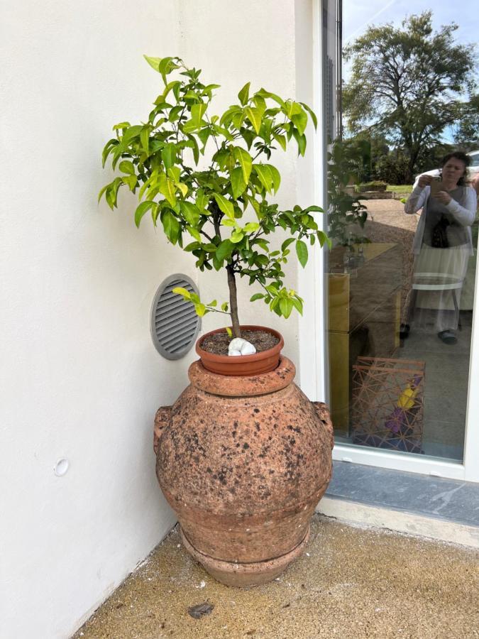 Joy Home Antella Exterior photo